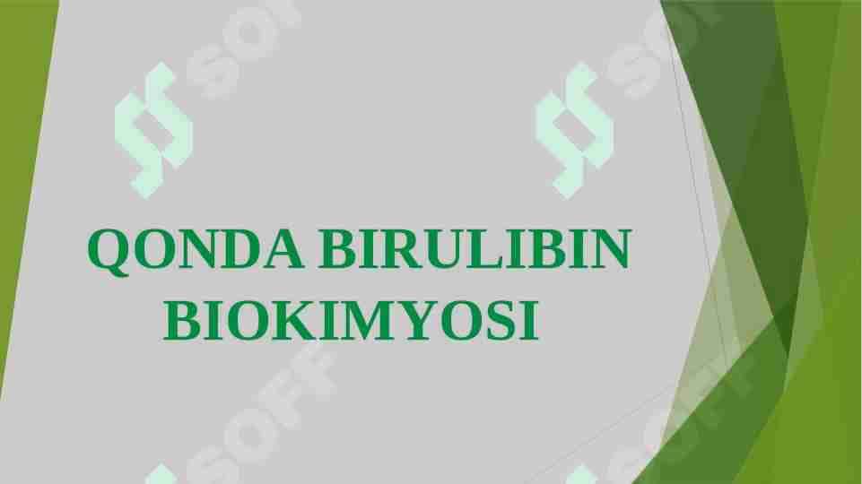 QONDA BIRULIBIN BIOKIMYOSI