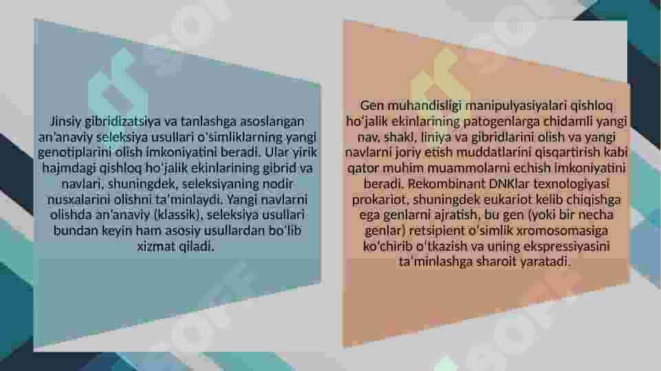 GENETIK SELEKSION TADQIQOTLARDA GEN MUHANDISLIGI USULIDA TADQIQOTLAR OLIB BORISHSELEKSIYANING ASOSIY USULLARI BO’LGAN DURAGAYLASH, EKSPERIMENTAL MUTAGENEZ, GEN MUHANDISLIGI USULLARINI QIYOSIY TAHLIL. 6