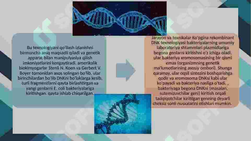 GENETIK SELEKSION TADQIQOTLARDA GEN MUHANDISLIGI USULIDA TADQIQOTLAR OLIB BORISHSELEKSIYANING ASOSIY USULLARI BO’LGAN DURAGAYLASH, EKSPERIMENTAL MUTAGENEZ, GEN MUHANDISLIGI USULLARINI QIYOSIY TAHLIL. 7