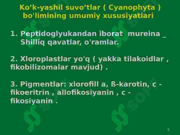 Koʻk-yashil suv oʻtalar boʻlimi bilan umumiy tanishish 3