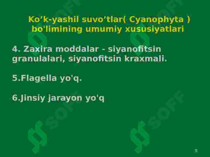 Koʻk-yashil suv oʻtalar boʻlimi bilan umumiy tanishish 5