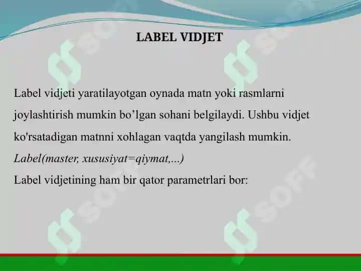 LABEL, CHECKBUTTON, RADIOBUTTON VA COMBOBOX KOMPONENTLARI REJA 2