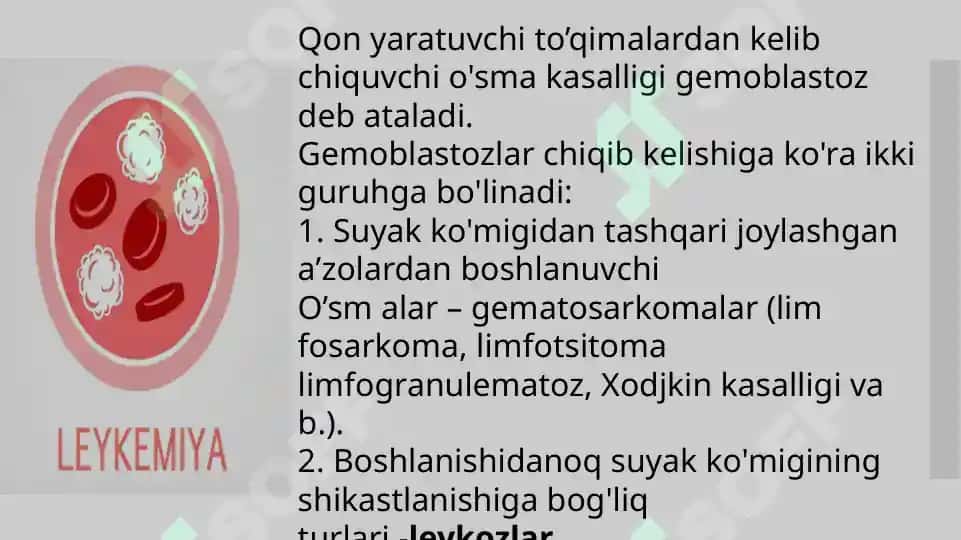 Oʻtkir va surunkali leykoz diagnostikasi 2