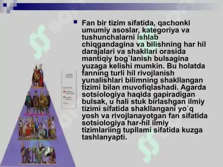 Sotsiologiyaning  strukturasi 4