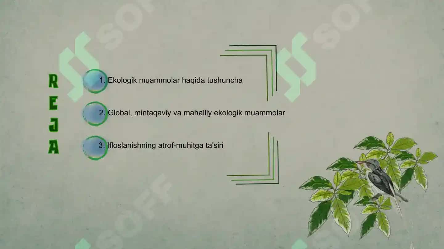 Ekologik Muammolar va ularning Oldini Olish Yo'llari 2
