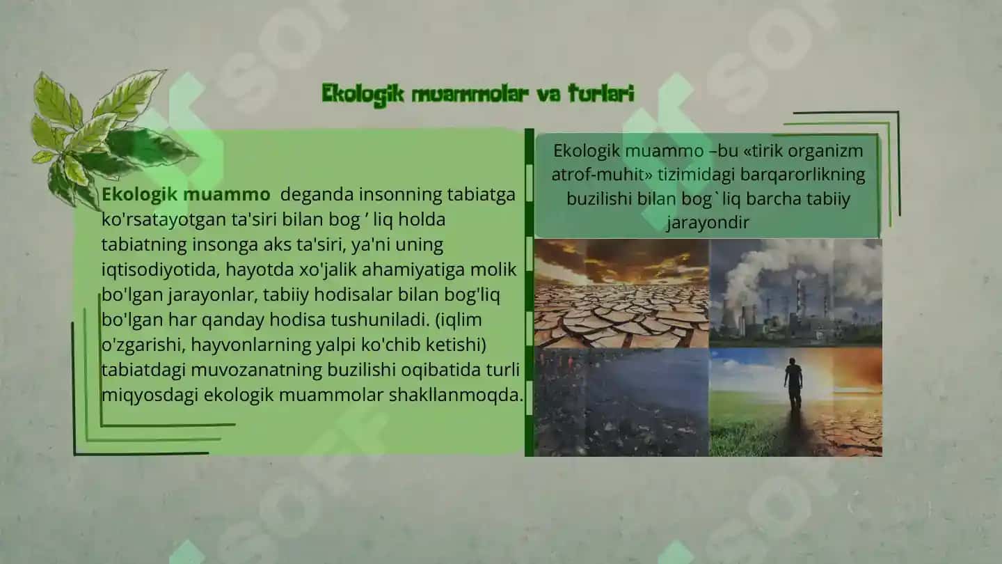 Ekologik Muammolar va ularning Oldini Olish Yo'llari 4