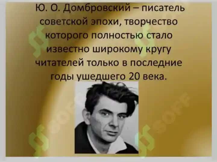 Домбровский Факультет ненужных вещей 2