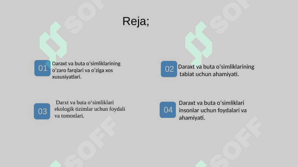 Toʻqayzorlardagi daraxt va buta oʻsimliklarini ahamiyati 2