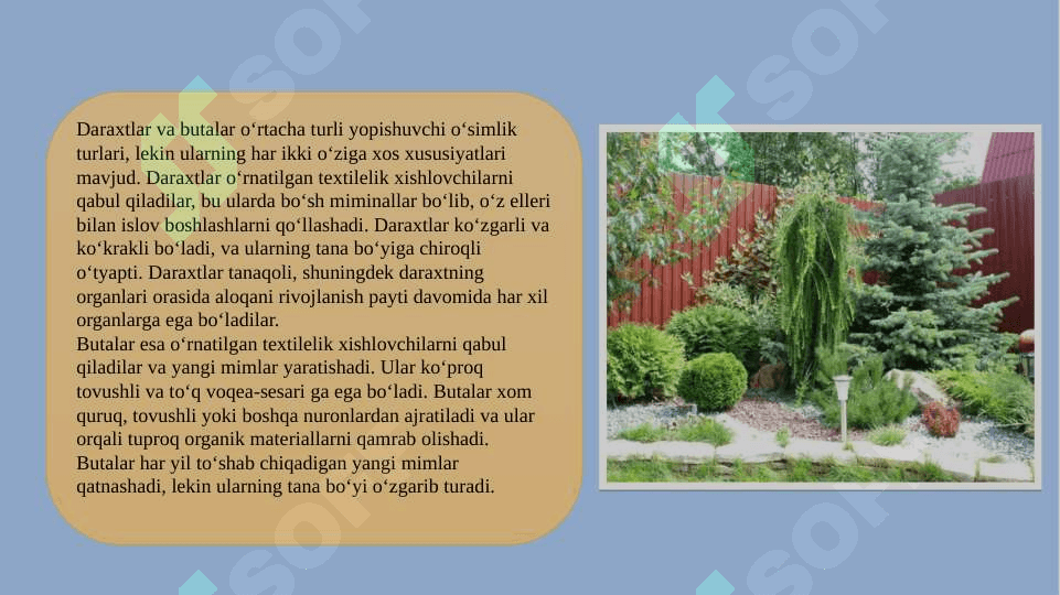 Toʻqayzorlardagi daraxt va buta oʻsimliklarini ahamiyati 3