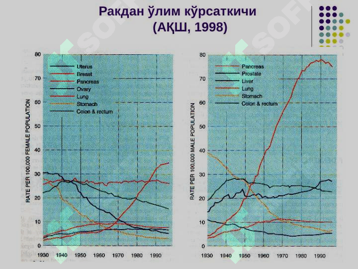 ЎСМАЛАР 5