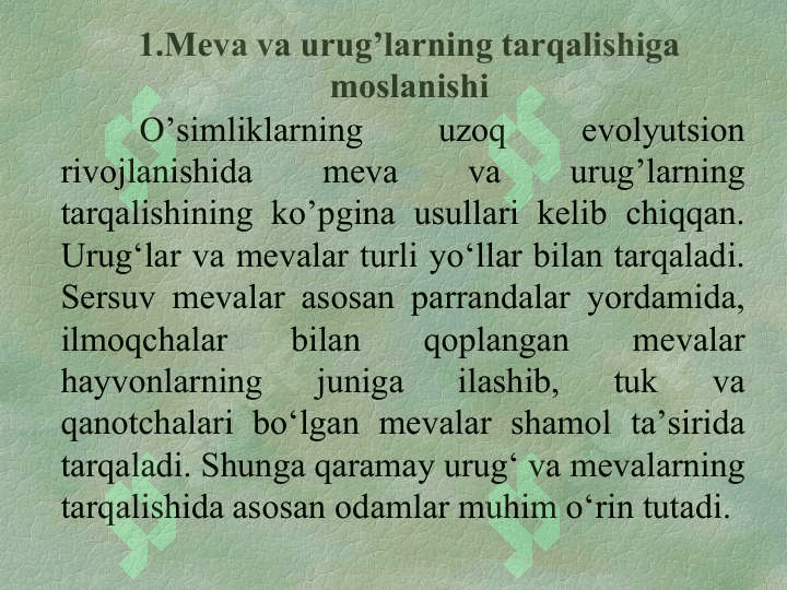 YUKSAK  O’SIMLIKLARNING URUG’LAR  YORDAMIDA KO’PAYISHI haqida umumiy tanishish 2