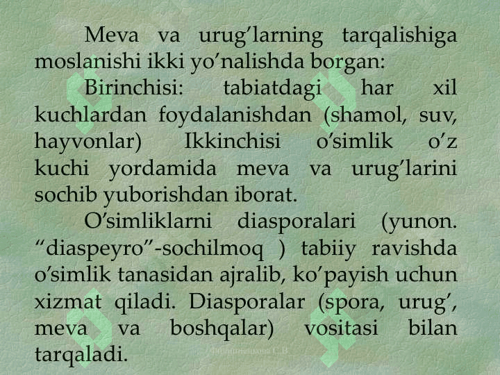 YUKSAK  O’SIMLIKLARNING URUG’LAR  YORDAMIDA KO’PAYISHI haqida umumiy tanishish 5