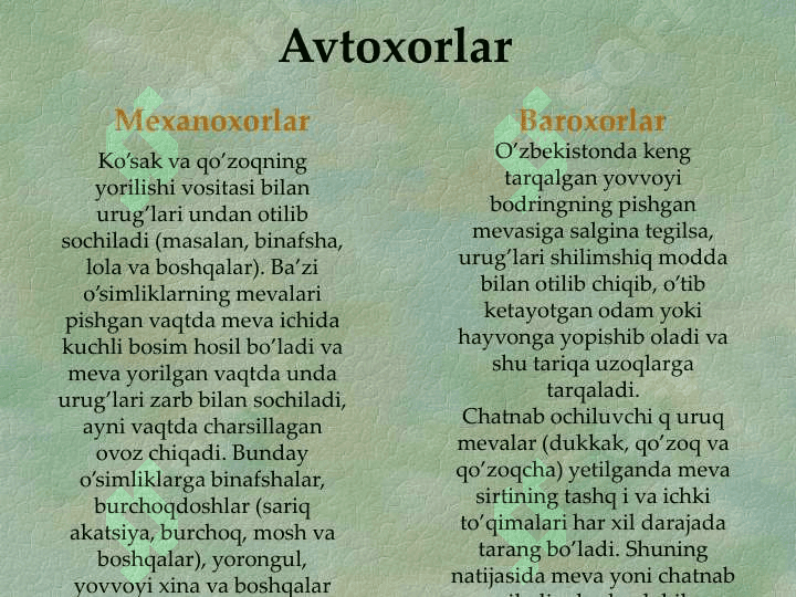 YUKSAK  O’SIMLIKLARNING URUG’LAR  YORDAMIDA KO’PAYISHI haqida umumiy tanishish 8