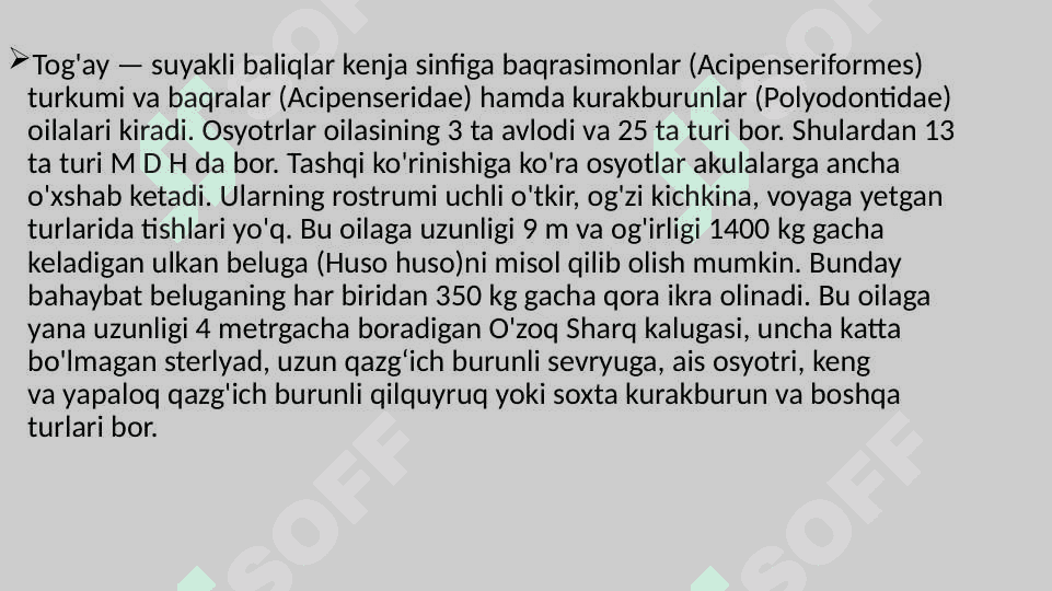 Suyakli baliqlarning sistematikasi 5