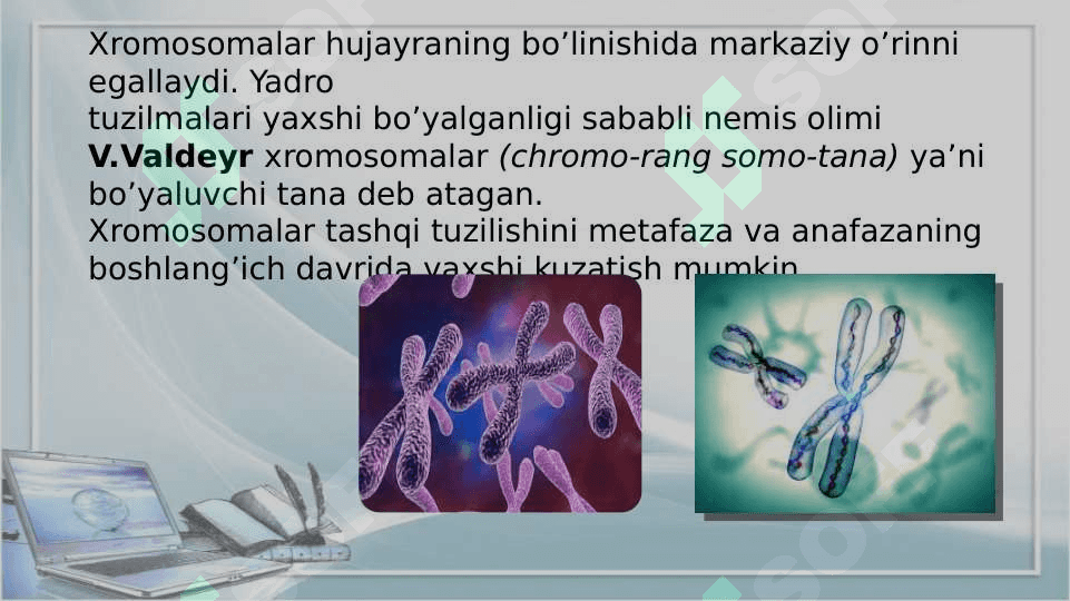 Xromosoma. Xromosomalarning molekulyar tuzilishi 3