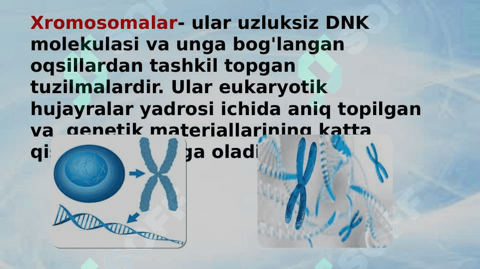 Xromosoma. Xromosomalarning molekulyar tuzilishi 4