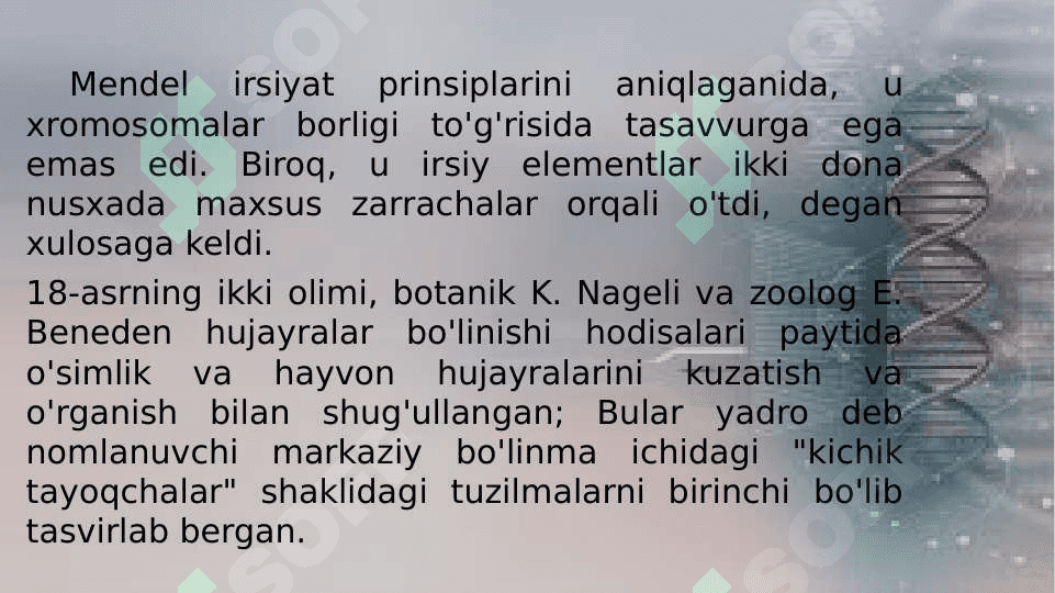Xromosoma. Xromosomalarning molekulyar tuzilishi 7
