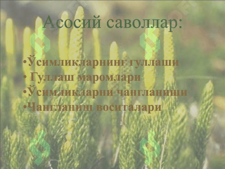 Oʻsmiliklarini Gullashi va changlanish bilan tanishish 2