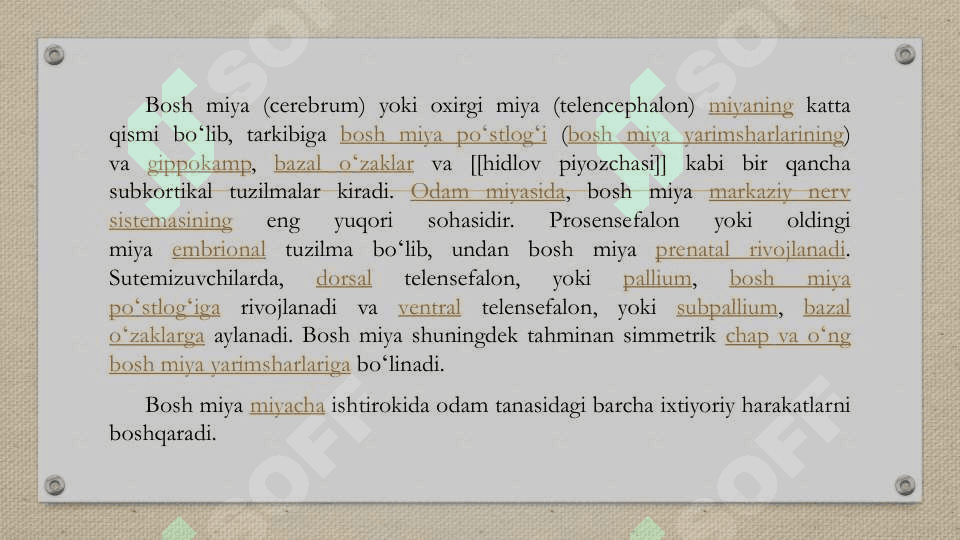 Bosh miya yarim sharlari 2