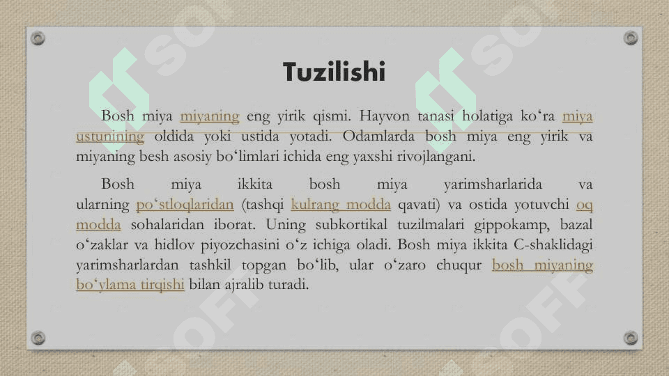 Bosh miya yarim sharlari 3
