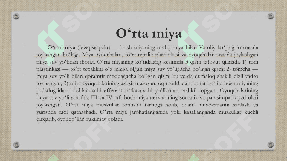 Bosh miya yarim sharlari 8