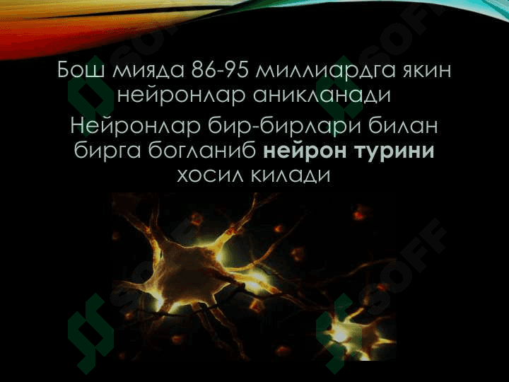 Neyronlar 6