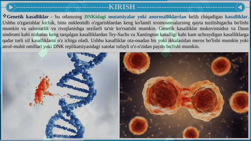 GENETIK BUZILISHLAR. GENETIK XASTALIKLARNING MALEKULAR DIAGNOSTIKASI ASOSLARI. 3