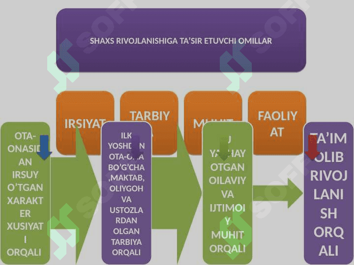 STEAM, SHaxs rivojlanishiga ta'sir etuvchi omillar 2