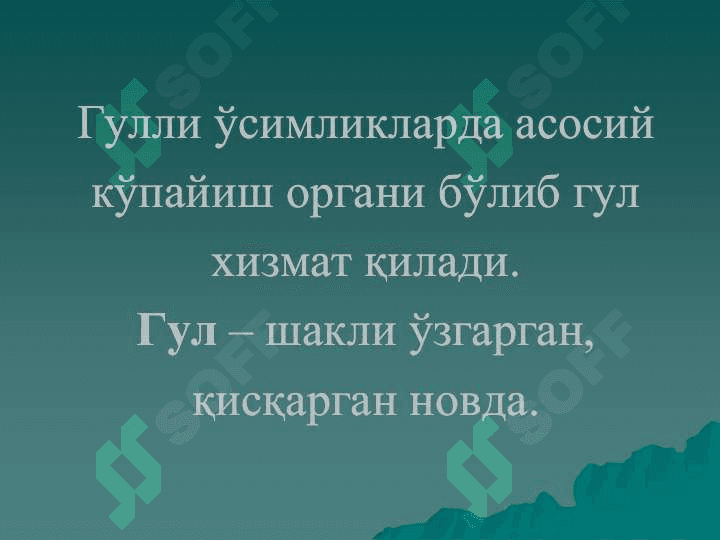 Gulning tuzlishi v funksiyasi 3