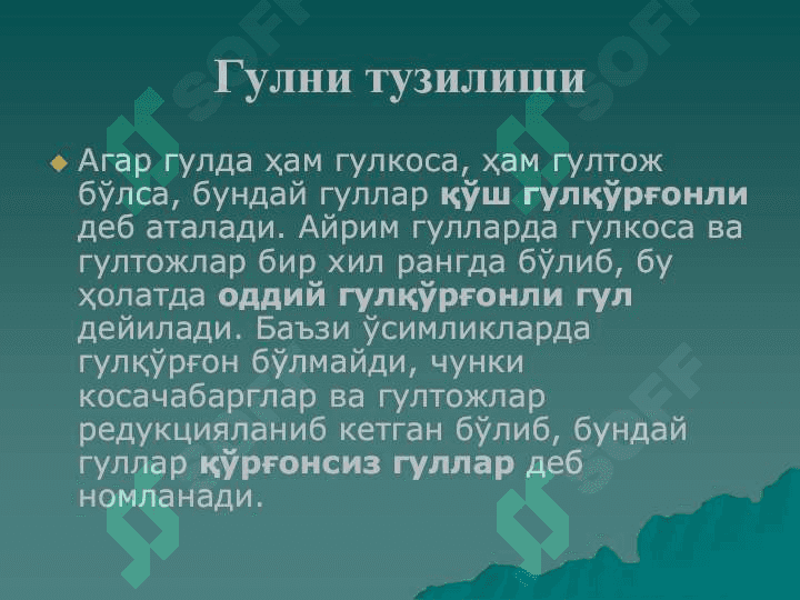 Gulning tuzlishi v funksiyasi 5