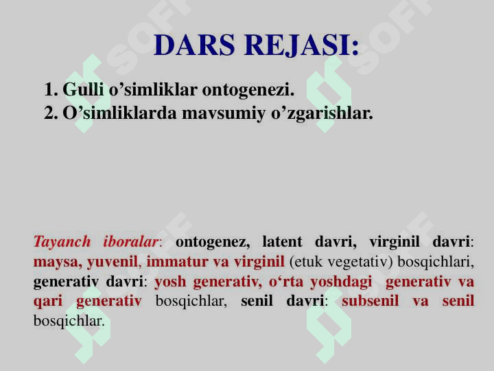 O’simliklar a O’SIMLIKLARDA MAVSUMIY  OZGARISHLAR.  GULLI O’SIMLIKLARNING ONTOGENEZI 2