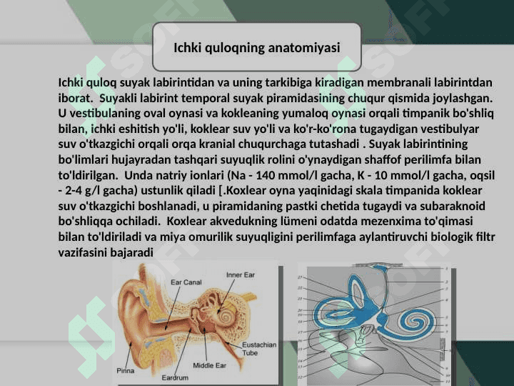 Meniere kasalligi 7