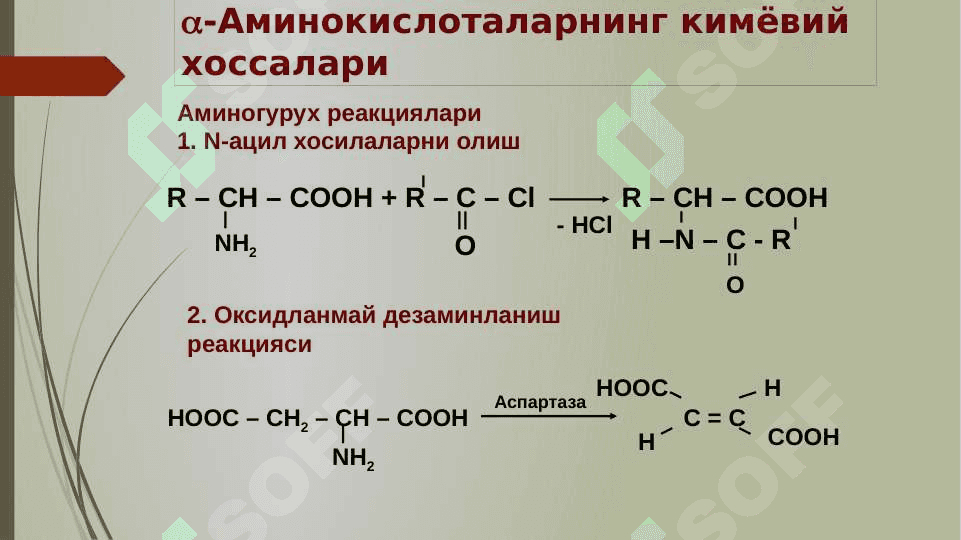 a-AMINOKISLOTALAR. PEPTIDLAR VA OQSILLAR 8