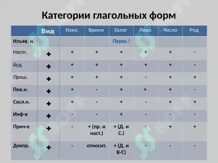 Категория вида. Связь категорни вида с категориям времени и способы глагольного действия 3