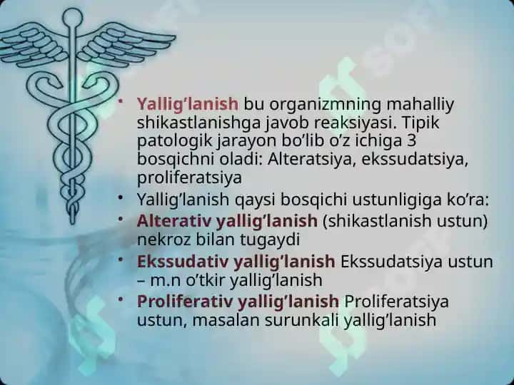 Yallig’lanish 2