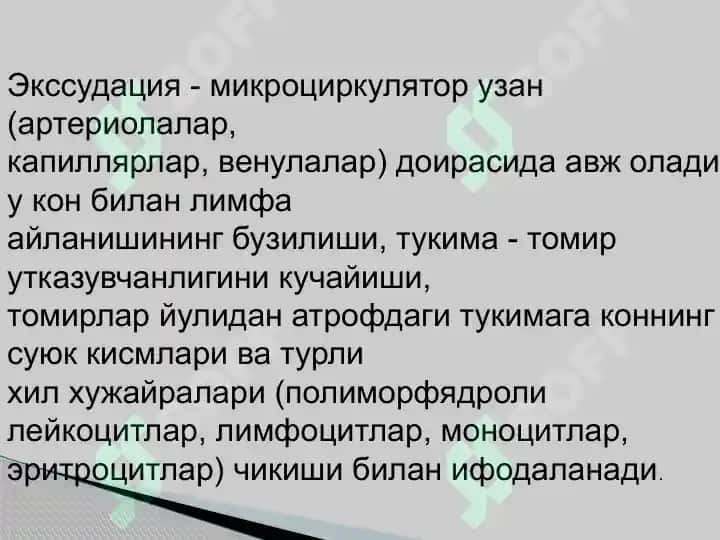 gastamit 6