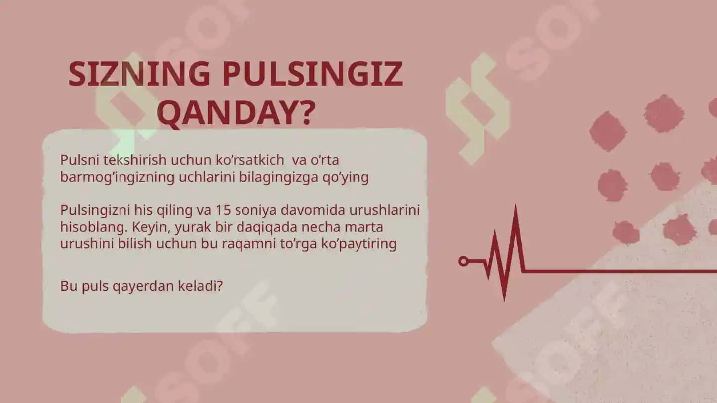 Qon aylanish tizimi 2