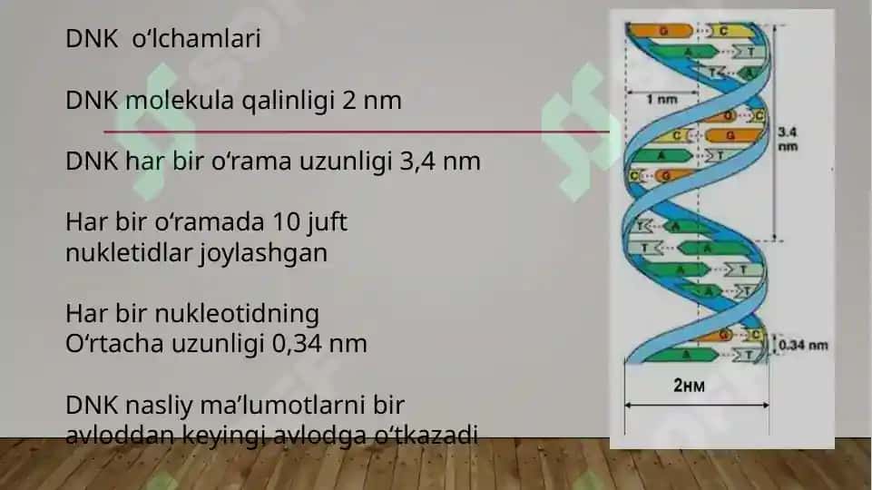 Yallig‘lanishni tizimli tasirlari. Hujayradan tashqari matriks va hujayra-matriks o‘zaro tasiri. To‘qima regeneratsiyasi mexanizmi. Genetik buzilishlar. Mutatsiyalar. Mendelga oid buzilishlar. Ko‘p faktorli nasldan o‘tish buz 8