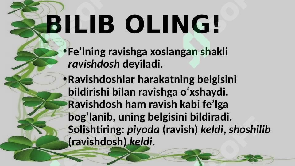 Ravishdosh 3