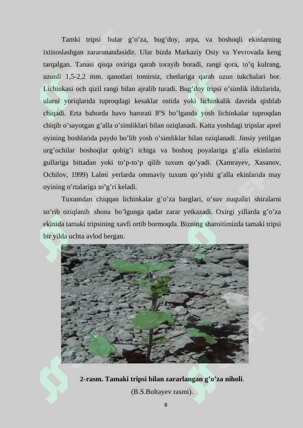 G’ozaning asosiy so’ruvchi zararkunandalari 8