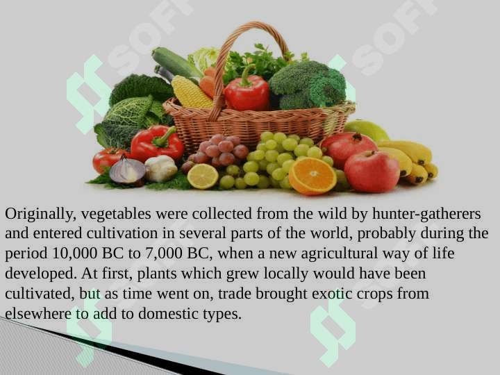 Vegetables. 3