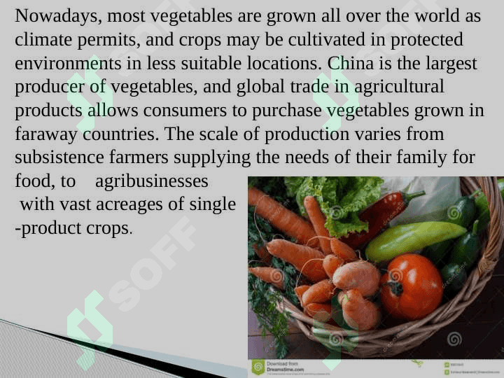 Vegetables. 4