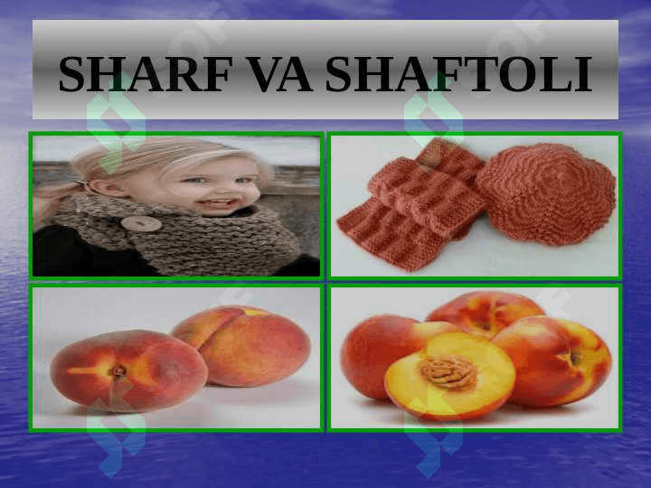 ALIFBE “Sh” tovushi va harfiALIFBE “Sh” tovushi va harfi 8