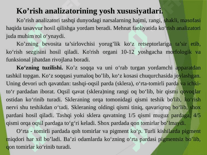 Analizatorlarning yosh xususiyatlari va gigienasi 4