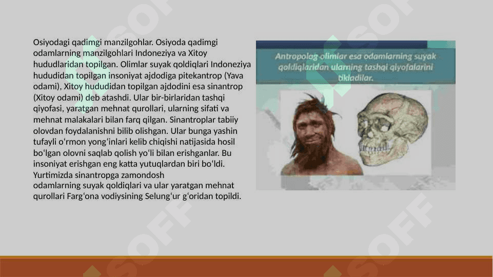 Eng qadimgi odamlar haqida Taqdimot 2