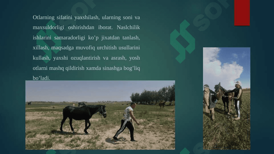 Jilqishiliq va tuyachilik mahsulotlarini dastlabki va ishlov berish texnalogiyasini va standartlashning xalq xojaliǵindaǵi ahamiyati 2