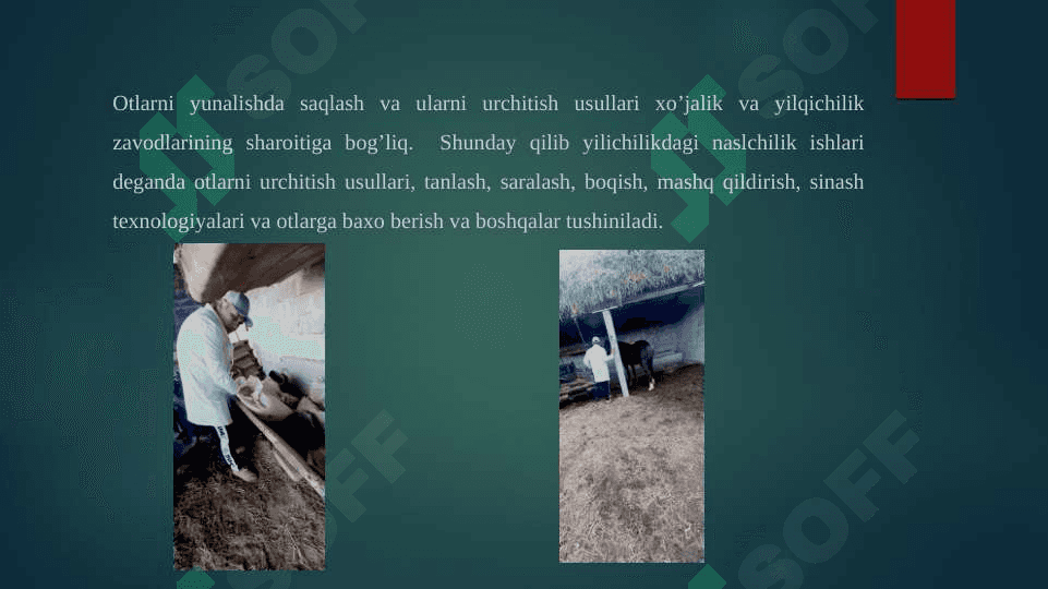 Jilqishiliq va tuyachilik mahsulotlarini dastlabki va ishlov berish texnalogiyasini va standartlashning xalq xojaliǵindaǵi ahamiyati 3