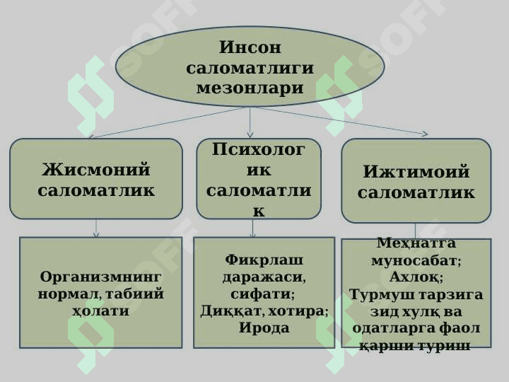 Tibbiy xizmat 5