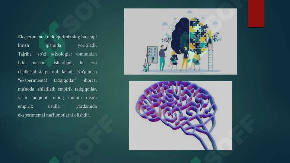 Eksperimental tadqiqot etikasi. Psixologning ahloqiy tamoyillari va xulq-atvor kodeksi. 2
