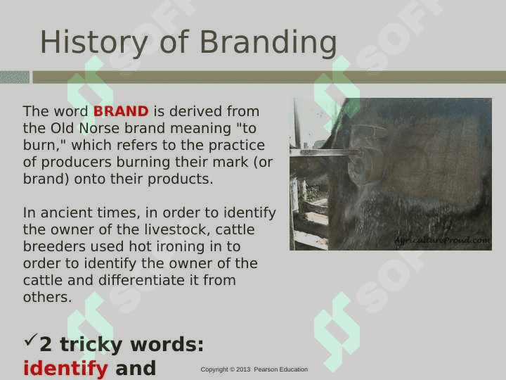 brands and branding.ppt 3